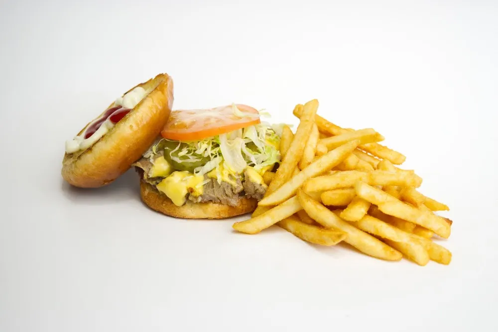 Gyro Burger Combo